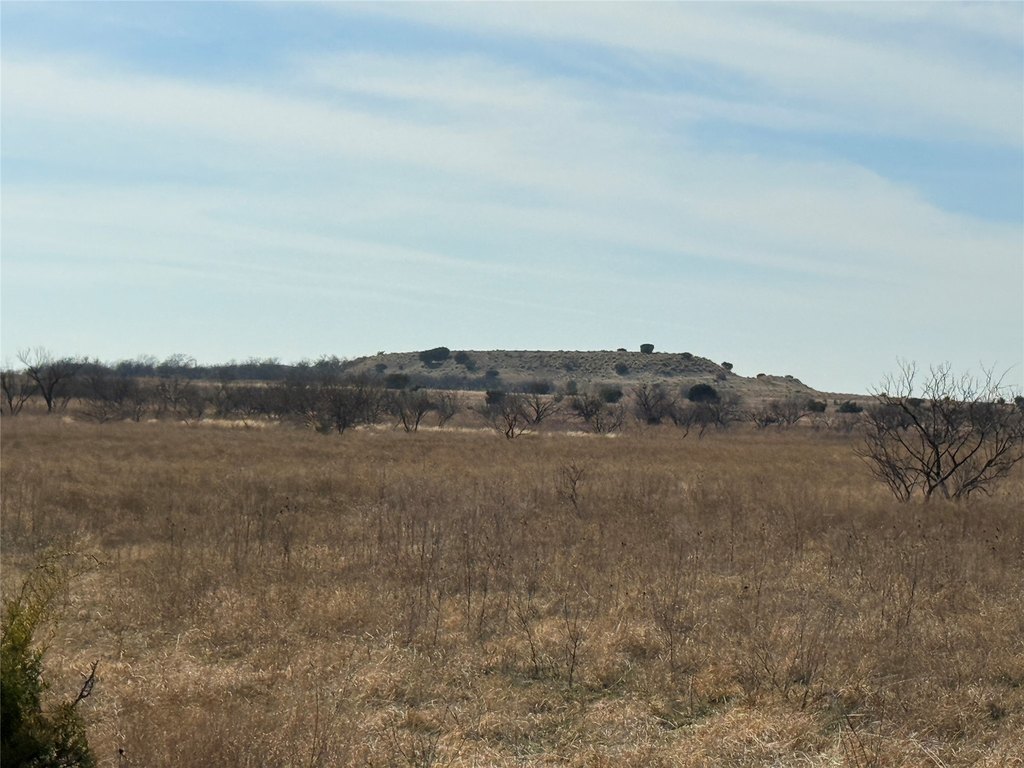 Picture 37