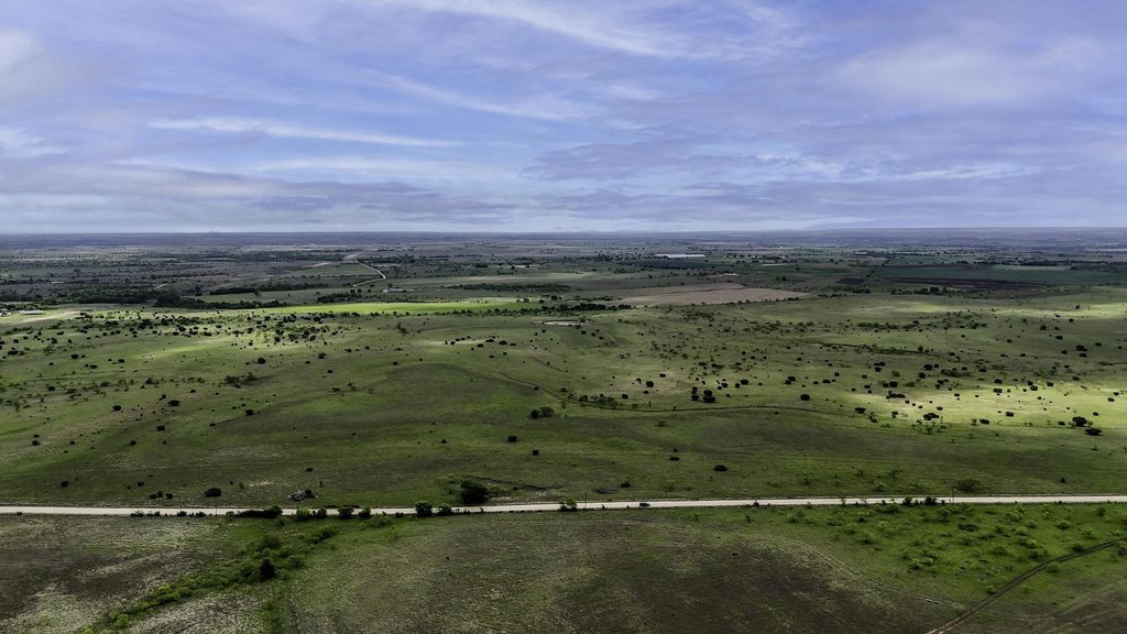 Picture 20
