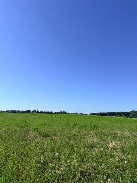 Picture 13