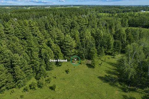 Recreational Hunting Land Parcel