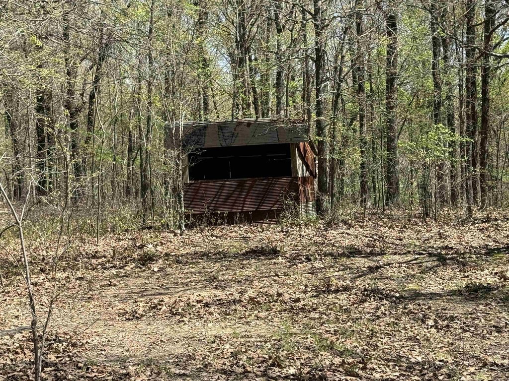 Picture 4