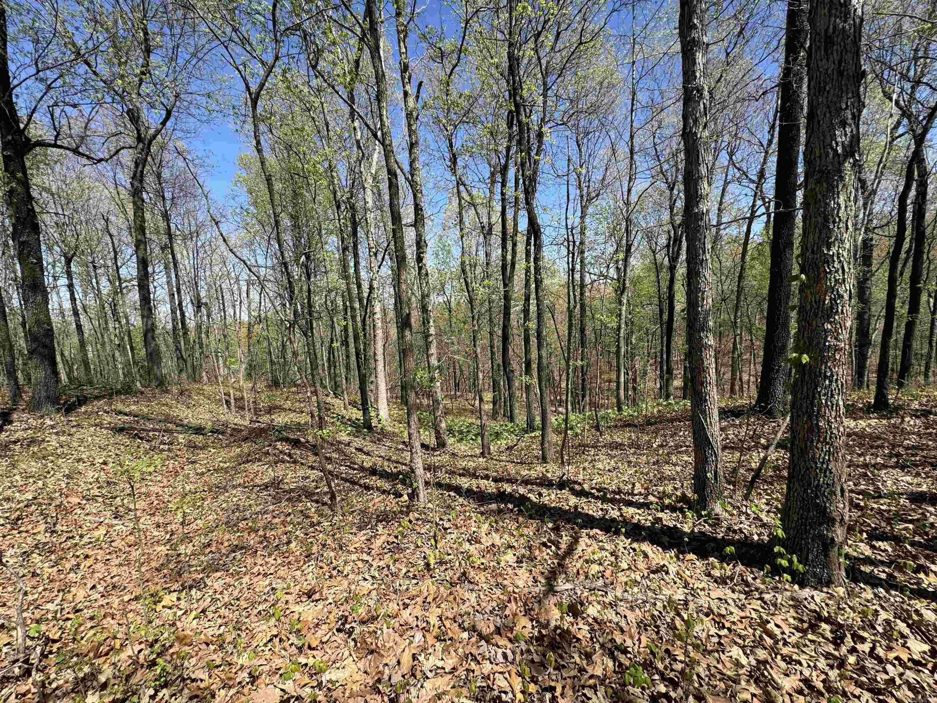 40 Acres Hunting Land