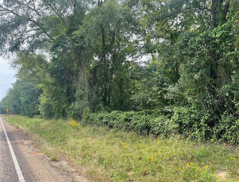 Wooded Land, Pittsburg, Texas