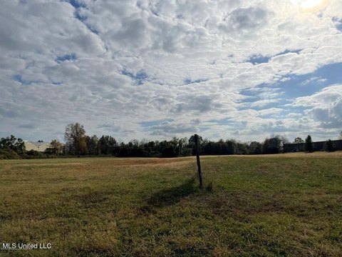 Olive Branch Commercial Land Available
