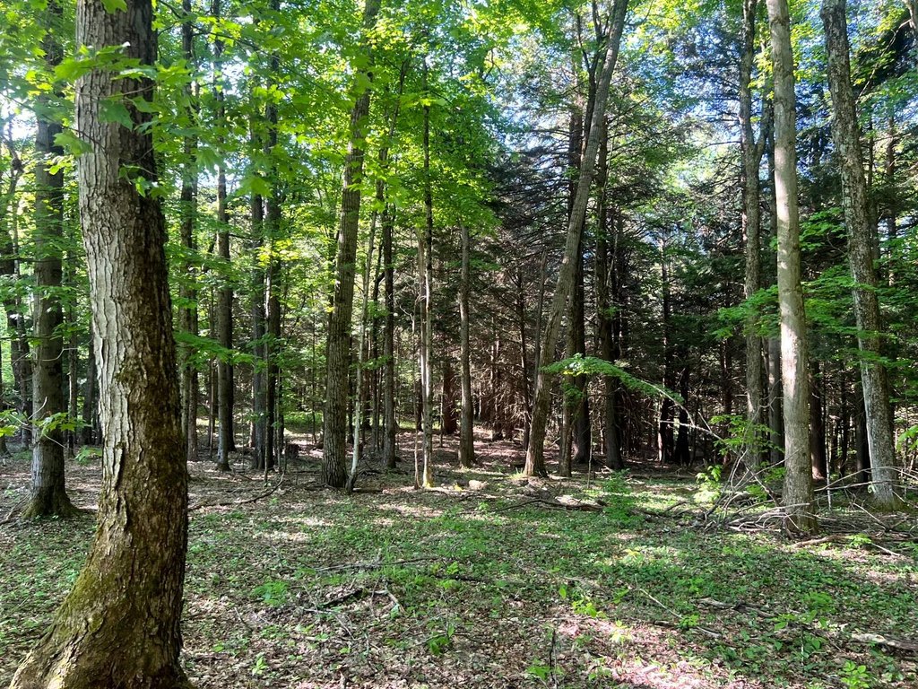 Picture 15