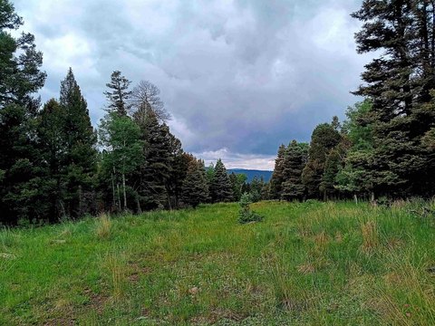 Picturesque Homesite in Angel Fire