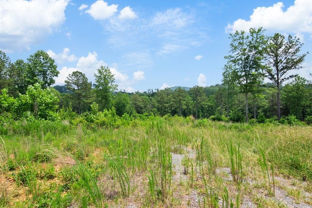 Creek Front Lot in Georgia