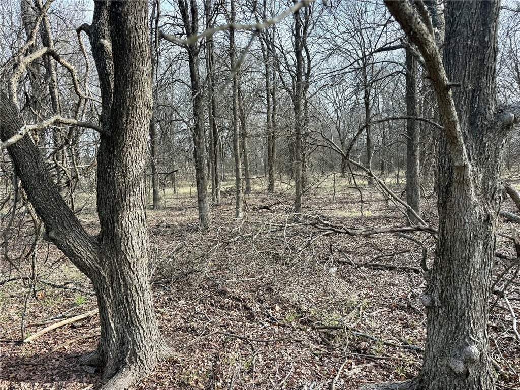 Picture 8