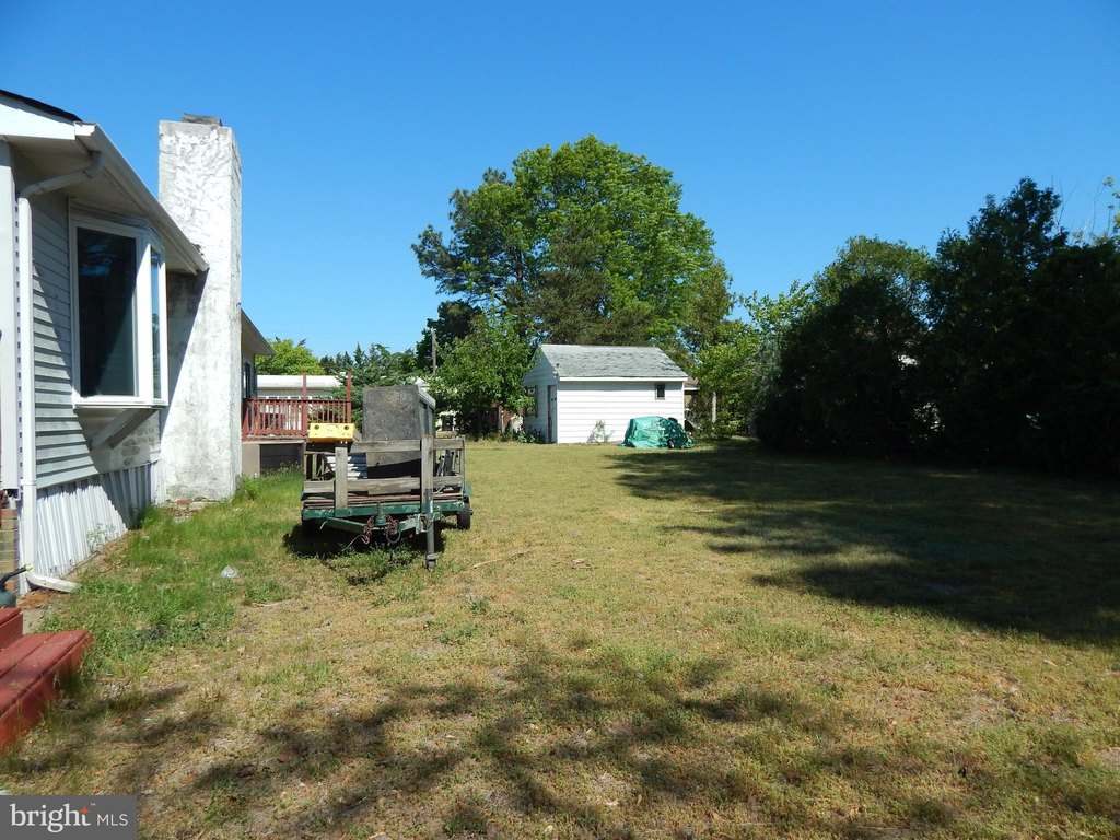 Picture 25