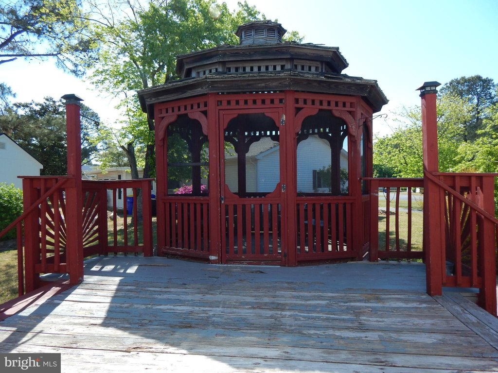 Picture 5