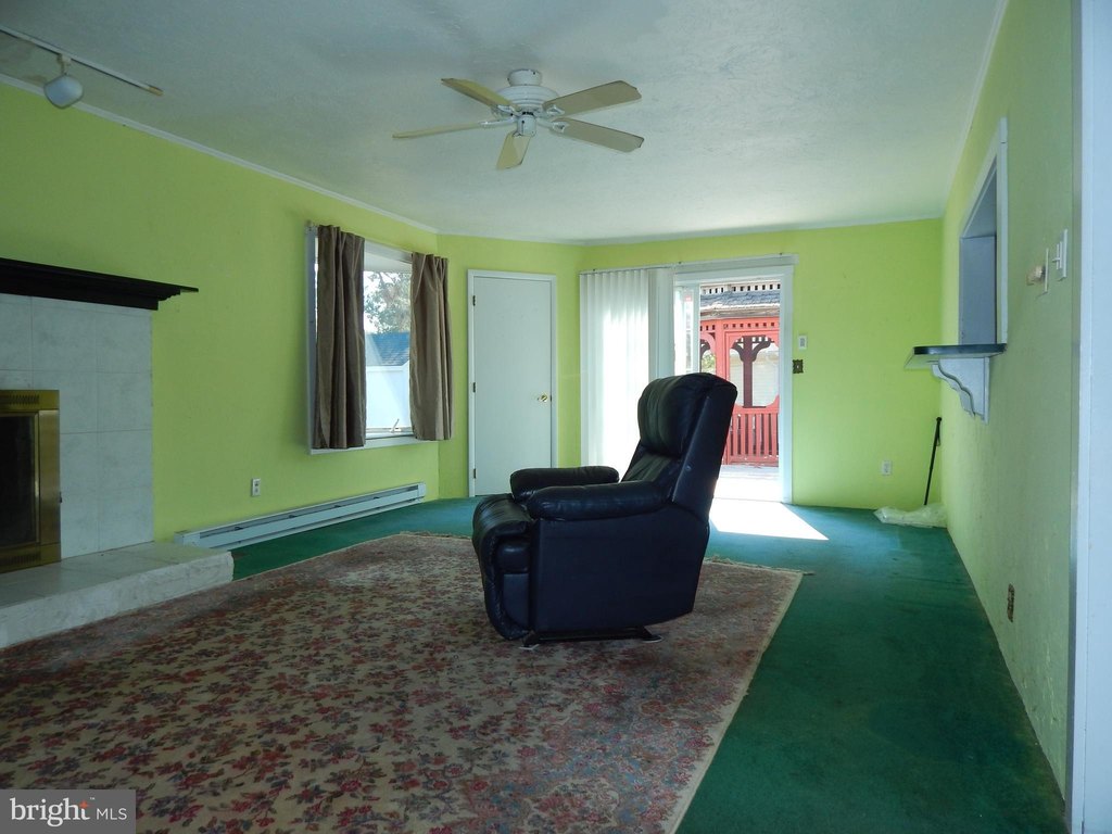 Picture 7