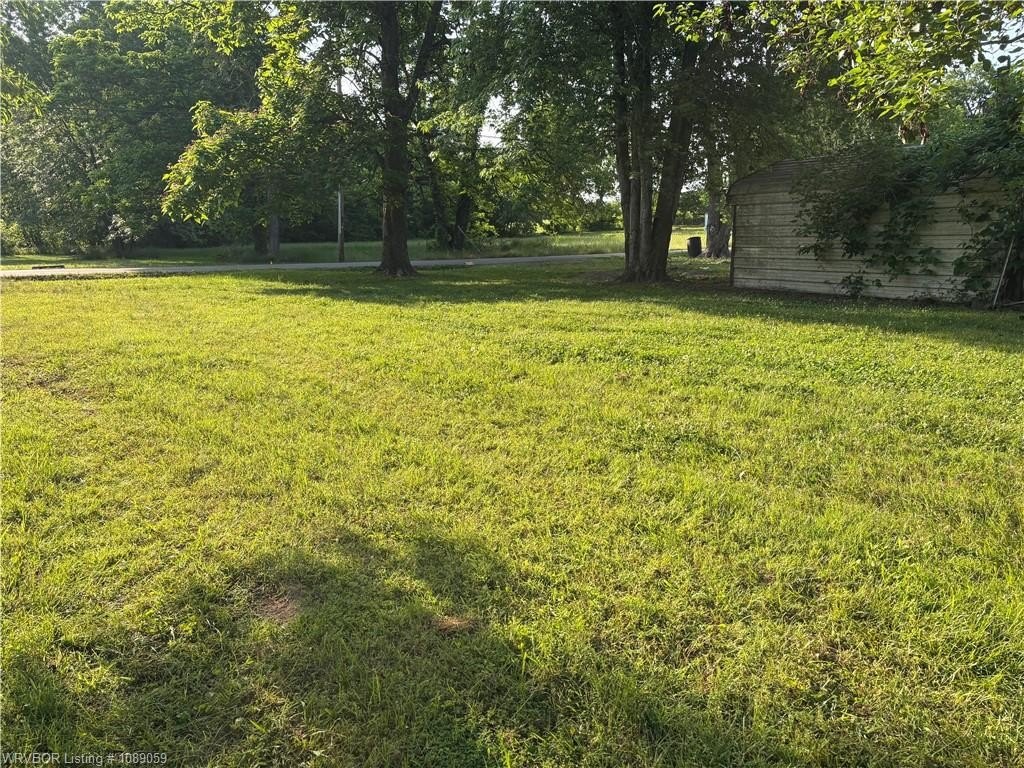 Picture 5