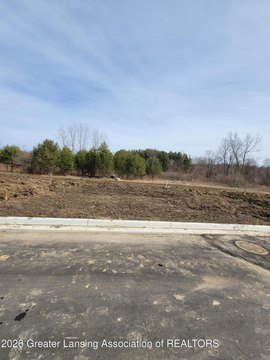 LAND - Lansing, MI
