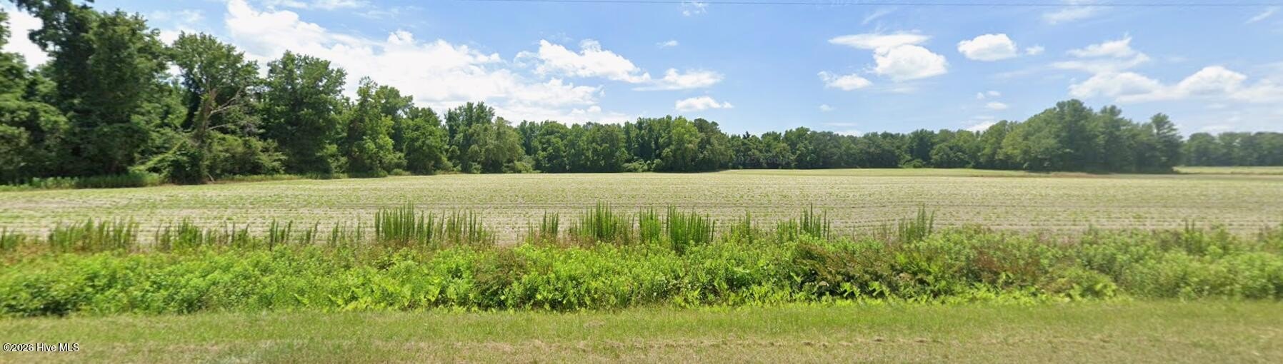 Undeveloped Land in Greenville, NC