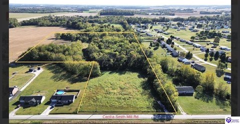 Lots and Land, Cecilia, KY