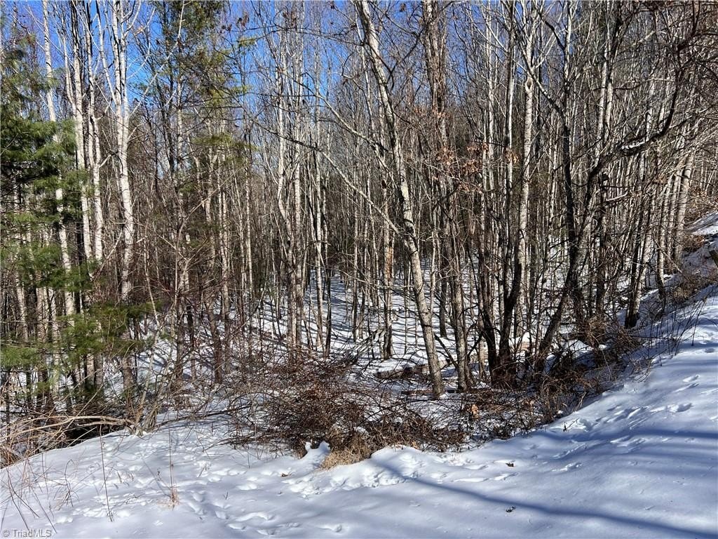 Picture 16