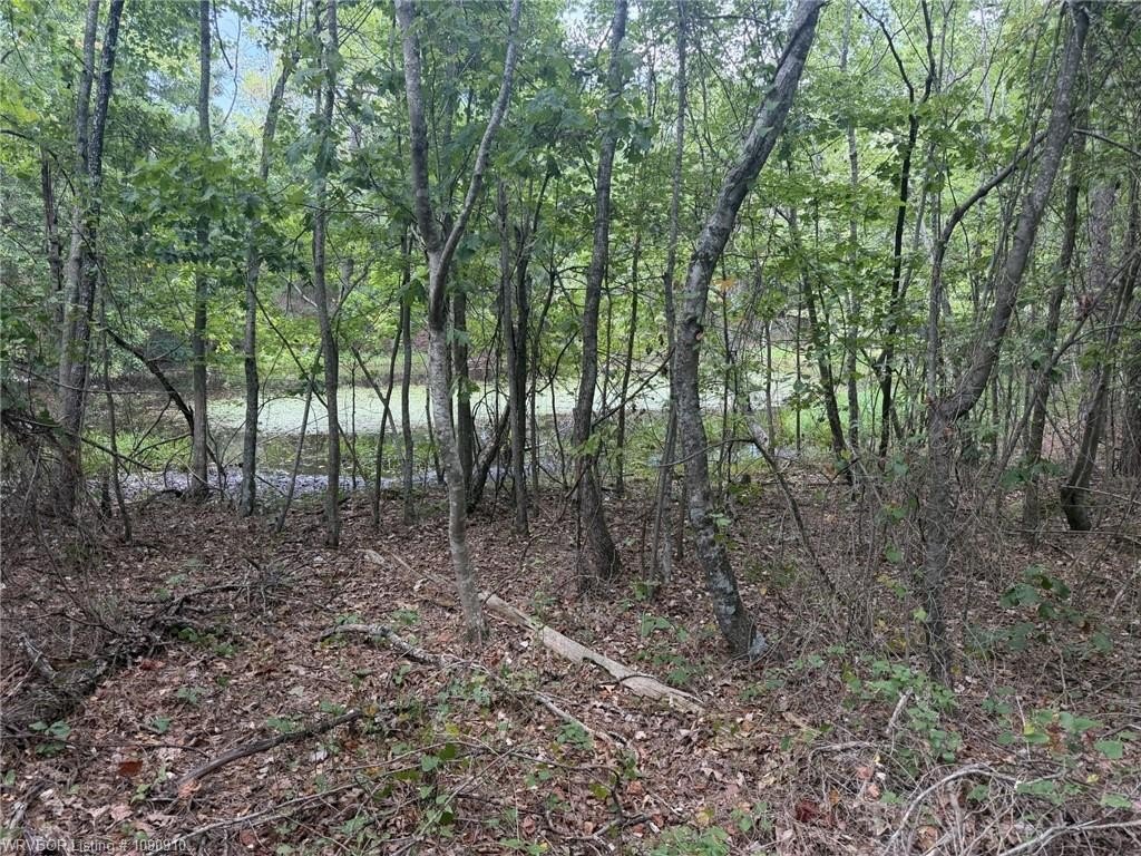 Picture 19