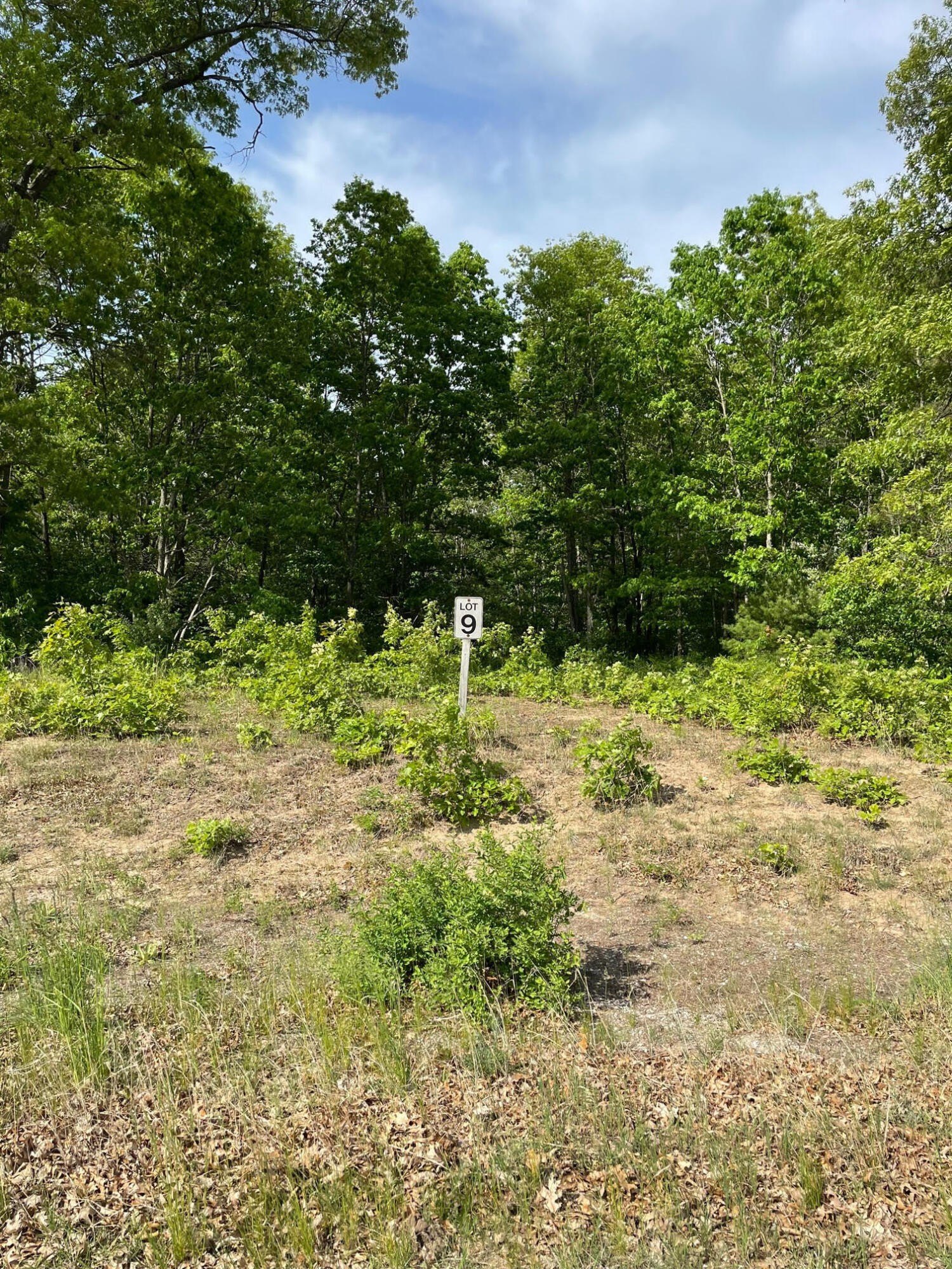 Manistee Commercial/Industrial Development Opportunity