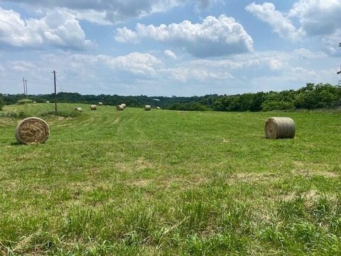 Brooksville Land with Varied Terrain