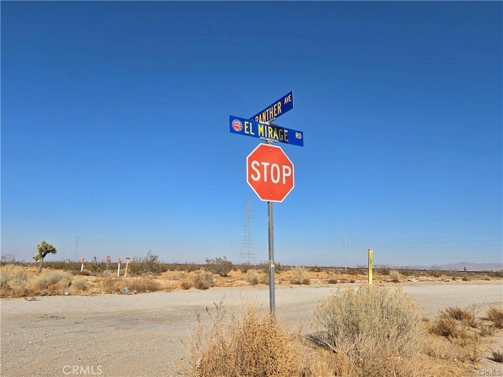 Picture 3