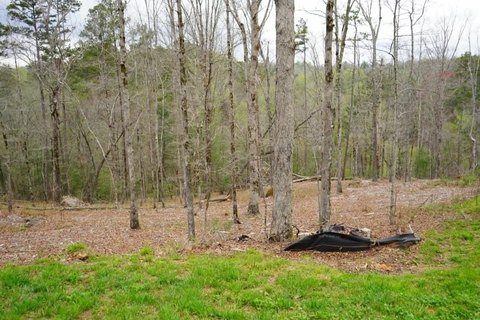 LAND - Ellijay, GA