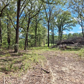 Land, Elm Grove, LA