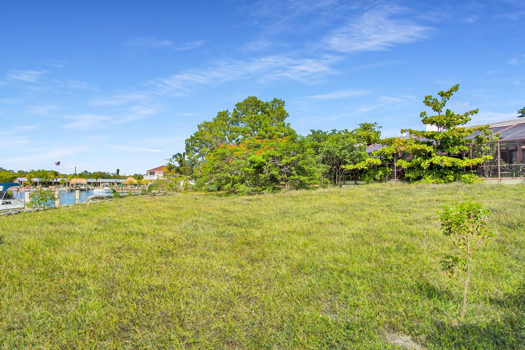 Picture 8