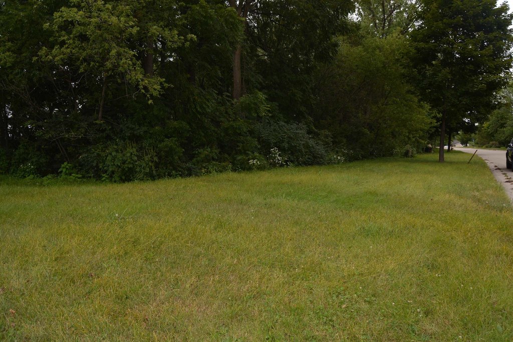 Picture 7