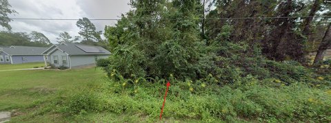 LAND - Crawfordville, FL