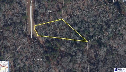LAND - Cheraw, SC