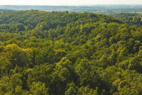 Land, Bulls Gap, TN