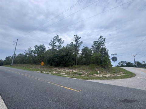 Land - DUNNELLON, FL