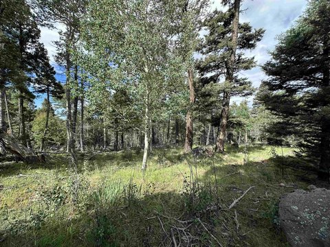 Angel Fire Land For Sale