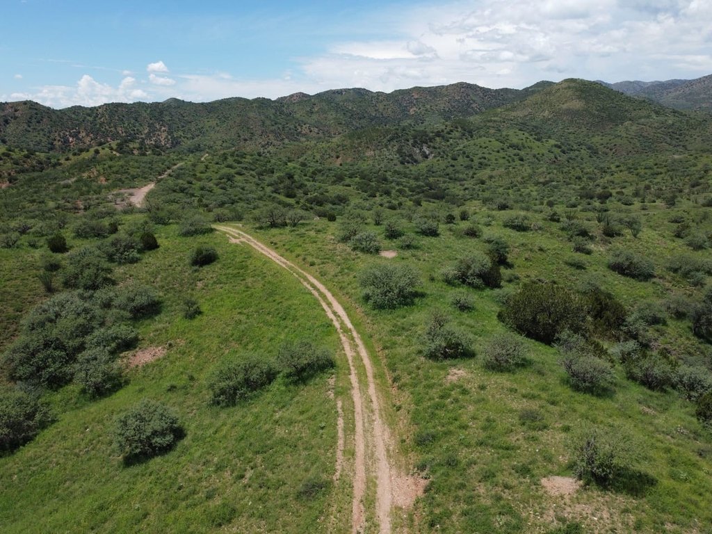 Picture 22
