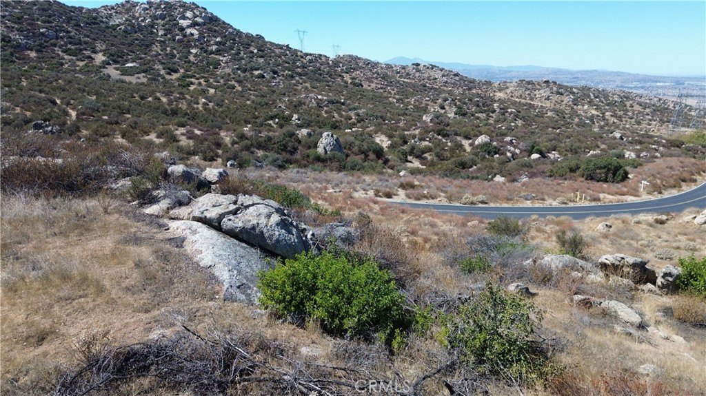 Picture 7