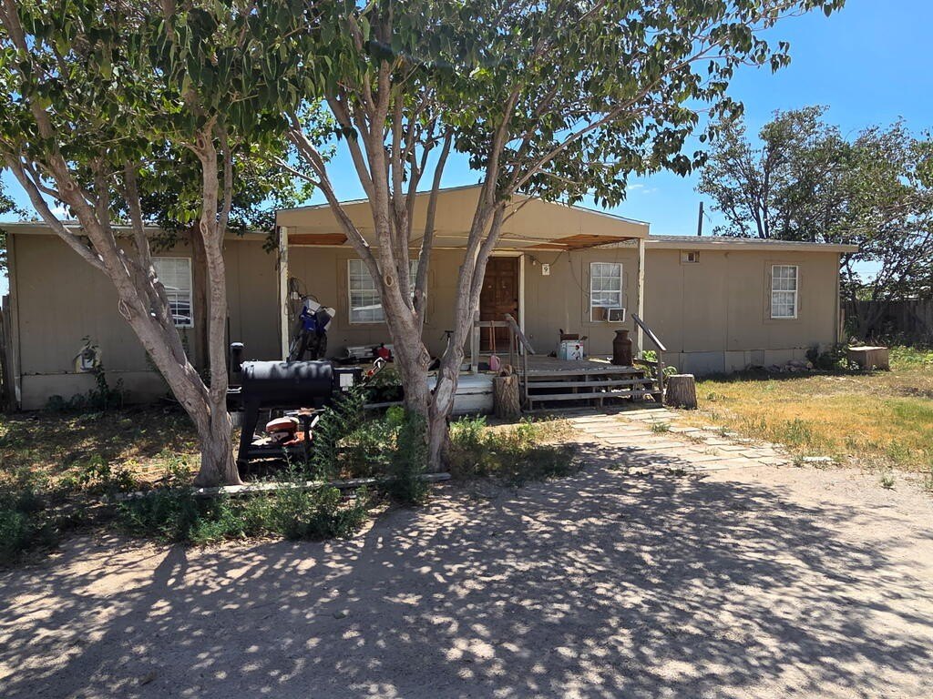 Picture 43