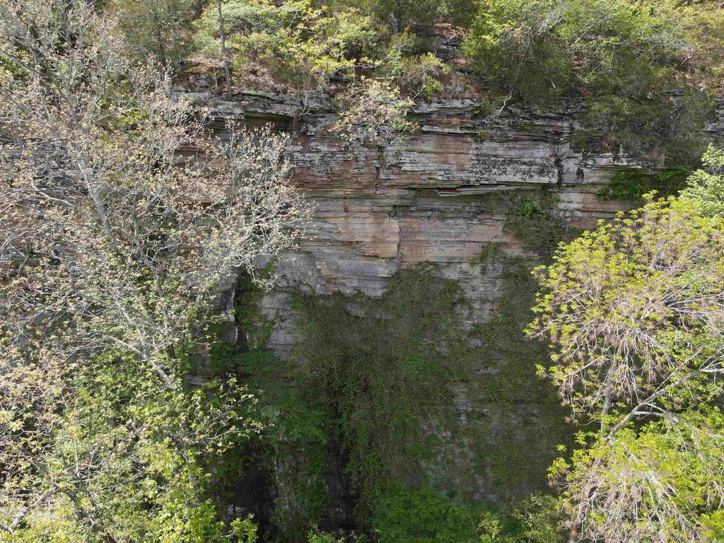 Picture 18