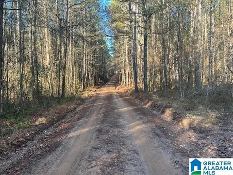 LAND - CRAGFORD, AL