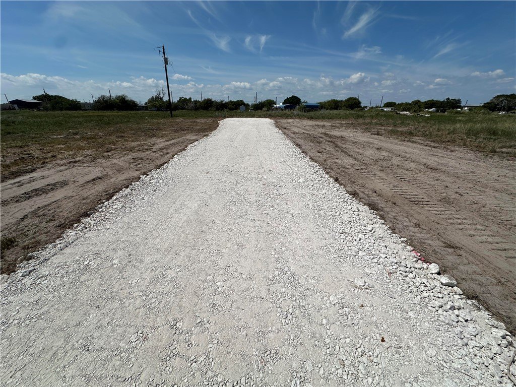 Picture 5