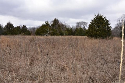 Land Near Lake Eufaula Area