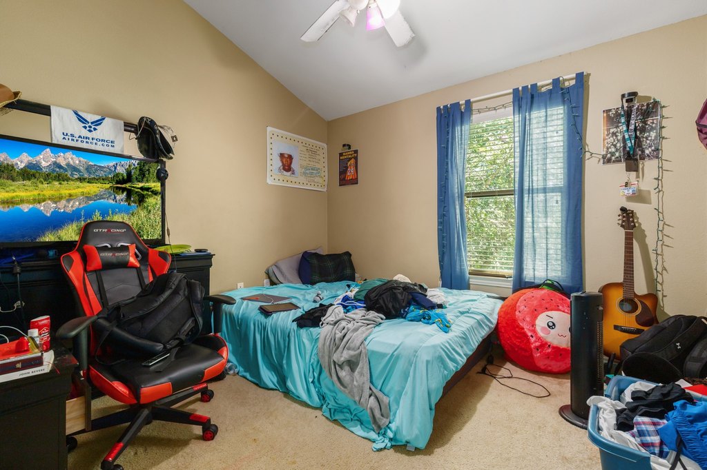 Picture 21