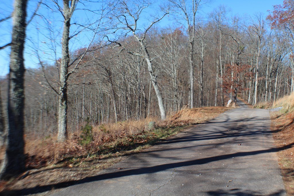 Picture 4