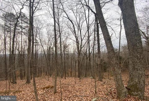 Land, CASTLETON, VA