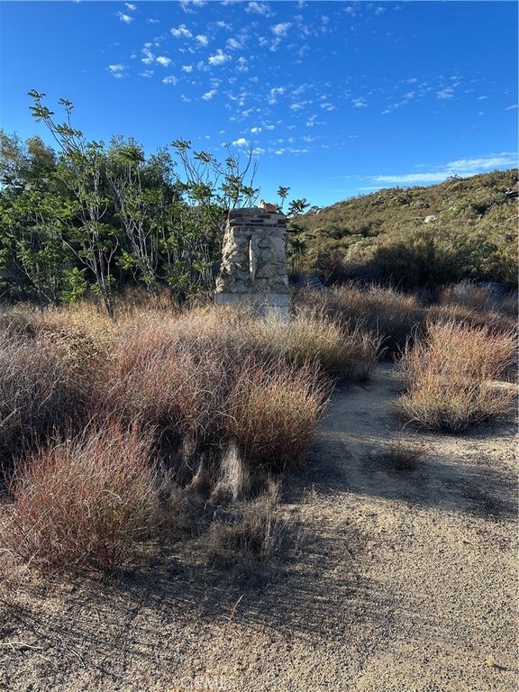 Picture 19