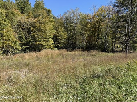 Land, Robbinsville, NC