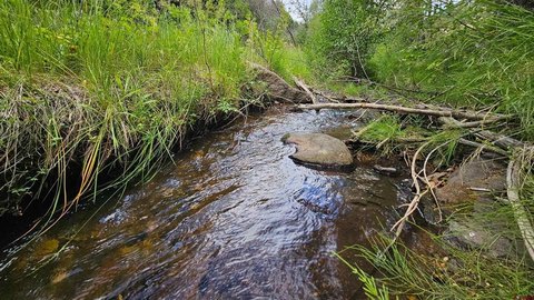 Creekside Land in Gated Community