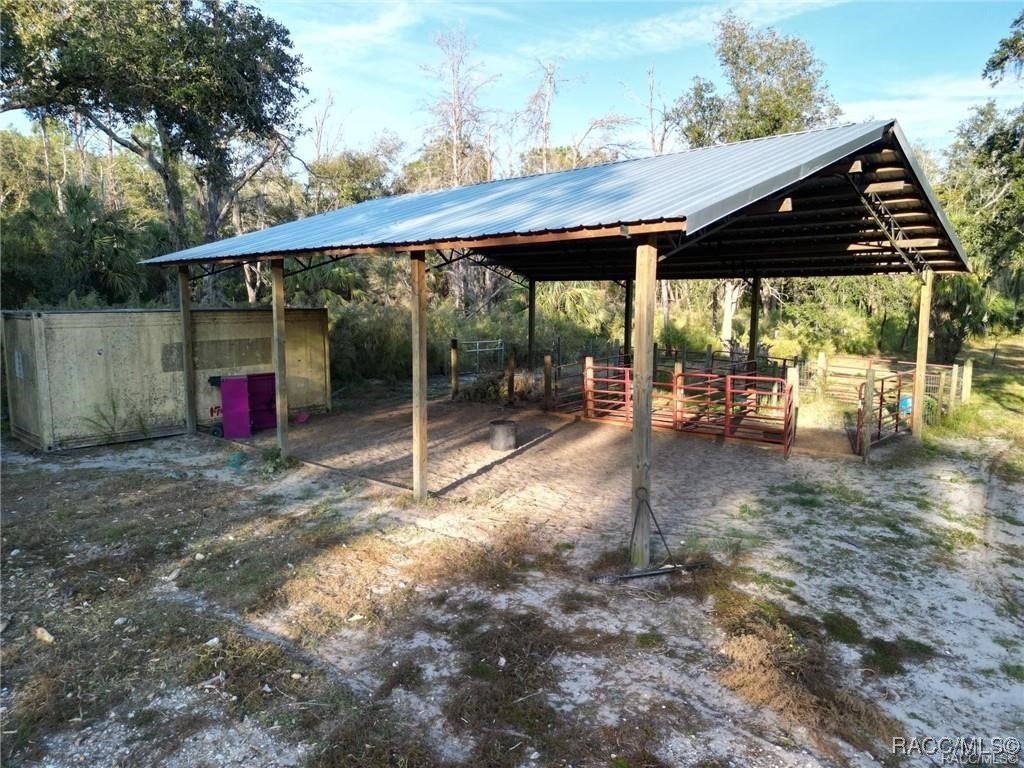 Picture 9