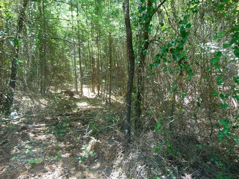 Picture 6