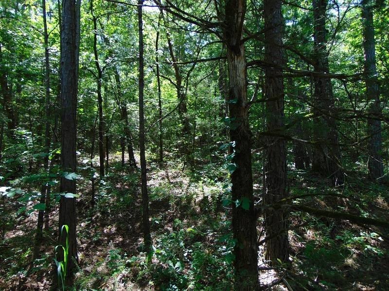 Picture 4