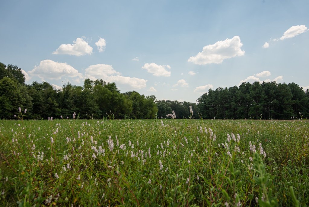 Picture 30